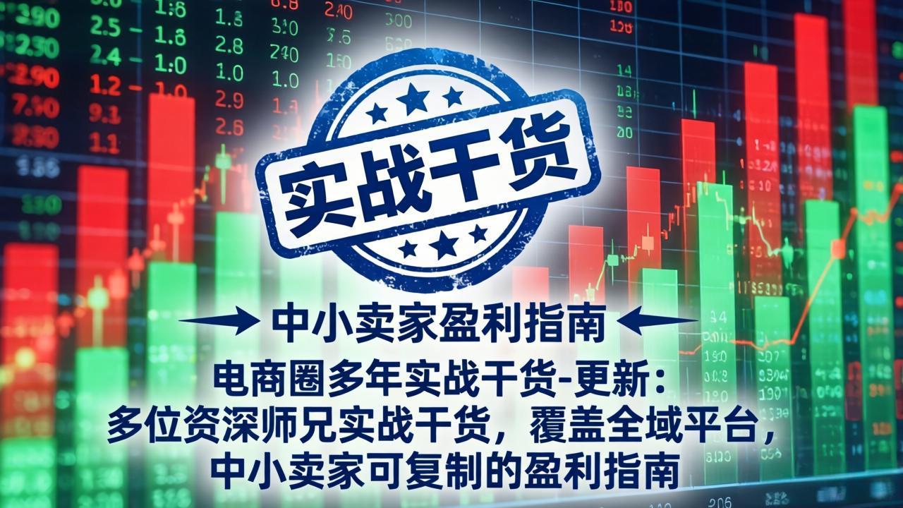 电商圈多年实战干货-更新5月20：多位资深师兄实战干货/覆盖全域平台，中小卖家可复制的盈利指南-创课坊
