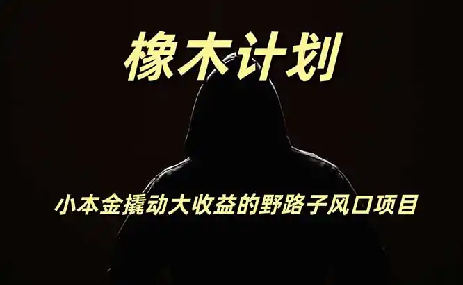 橡木计划，小投入撬动高回报的风口野路子项目，一天投入2小时左右