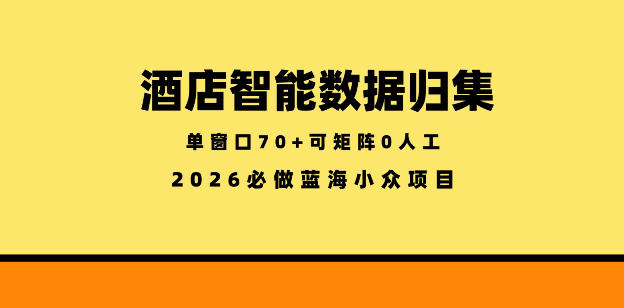 酒店智能数据归集，小众蓝海已经稳定半年之久，单窗口70+零成本矩阵开干【揭秘】-创课坊